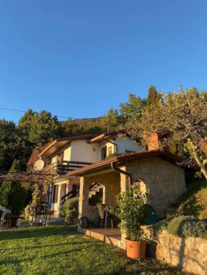 Beautiful holiday cottage DaMa